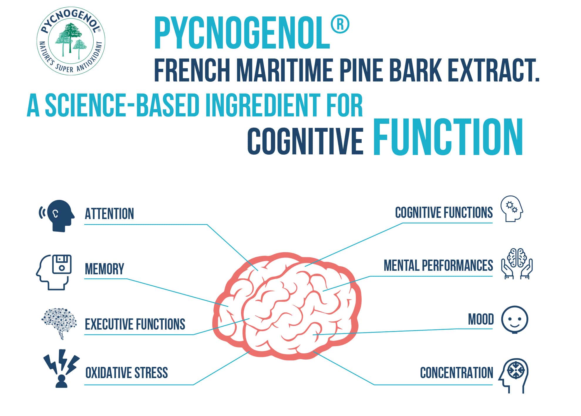 Pycnogenol ett mångsidigt ämne som används som kosttillskott Cancer
